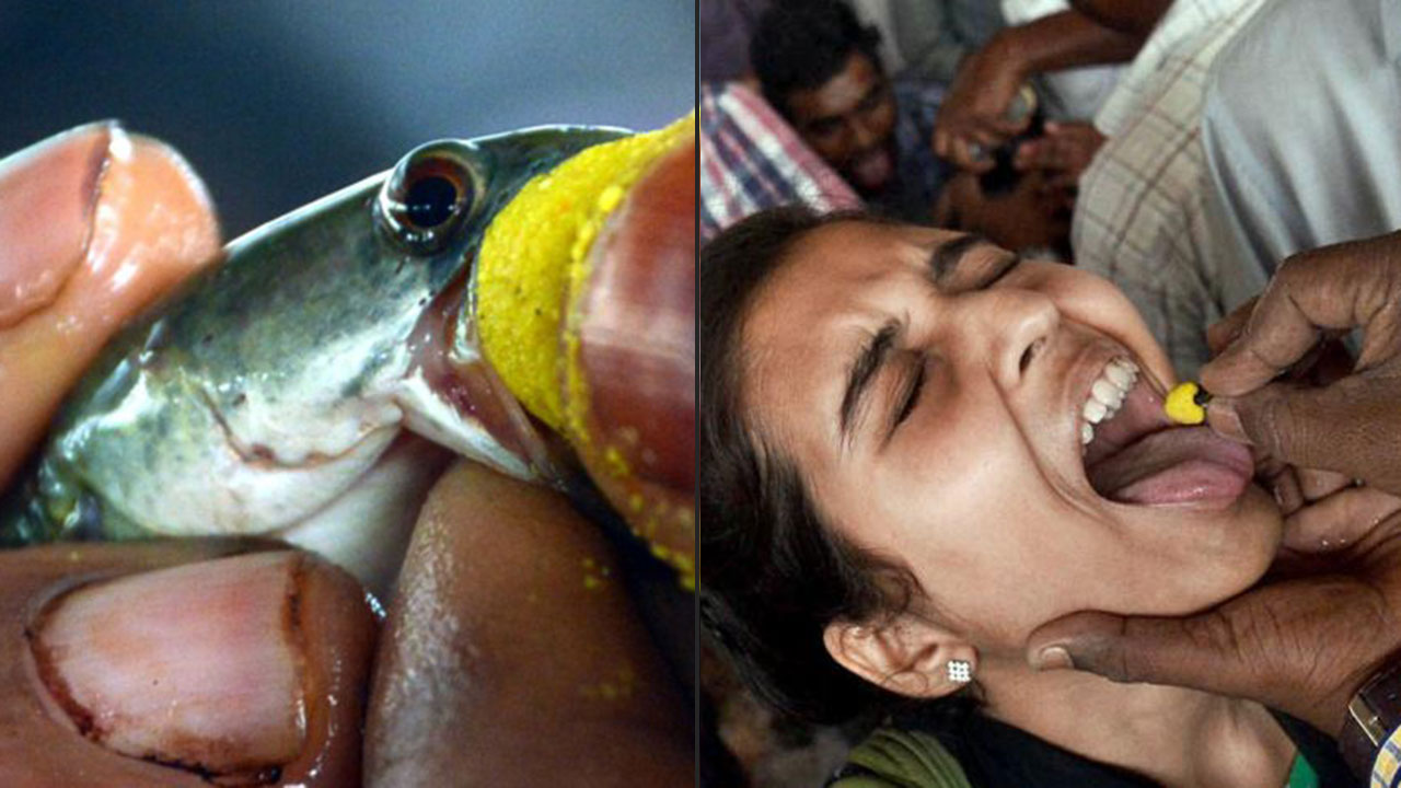 fish for asthmatic patients
