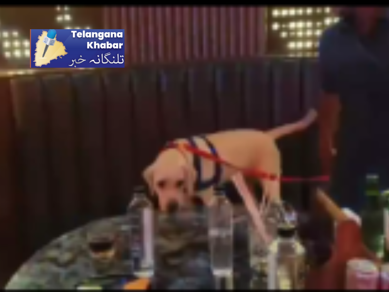 منشیات کے انسداد کے لئے تربیت یافتہ کتے کا استعمال