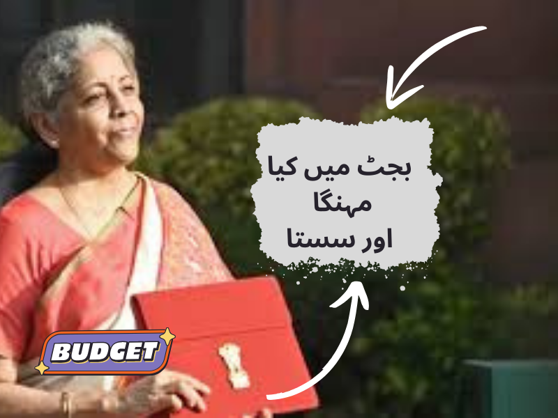 عام بجٹ 2024 کے بعد کیا ہوگا مہنگا اور سستا