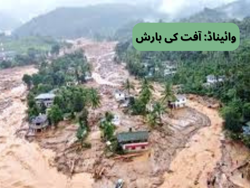 کیرالا:وائیناڈ میں آفت کی بارش، لینڈ سلائیڈنگ، اب تک 93 افراد ہلاک،100سے زائد زخمی، ریسکیو آپریشن جاری، مزید بارش کی پیش گوئی